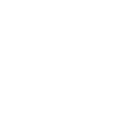 Icon rueda